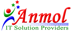 Anmol-IT-Solution-Providers.png